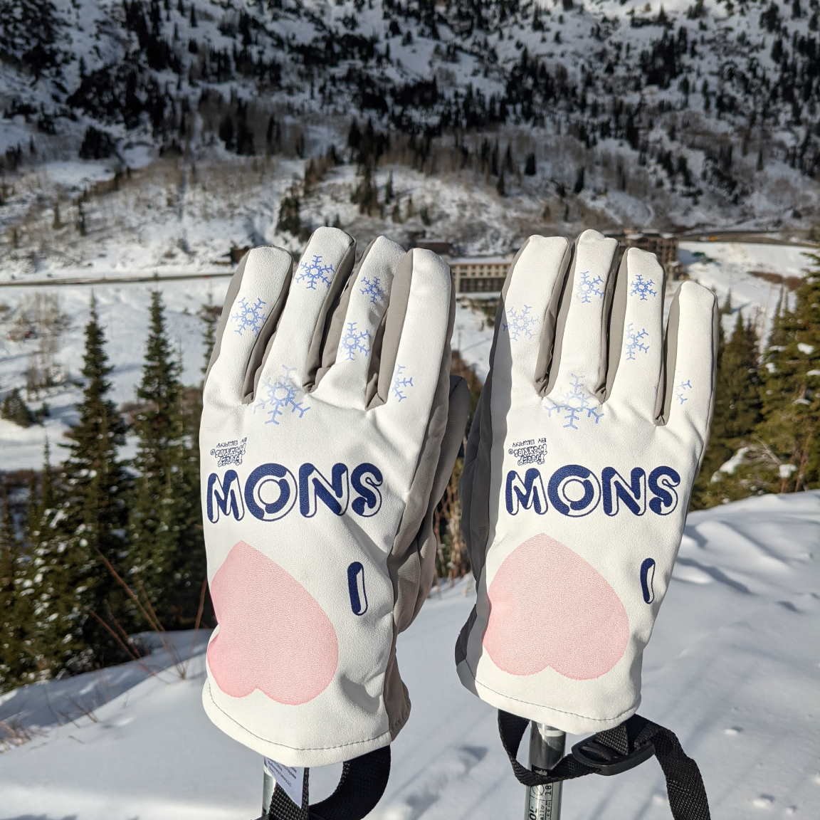 I Love Snow Freezy Freakies gloves perched on a mountaintop