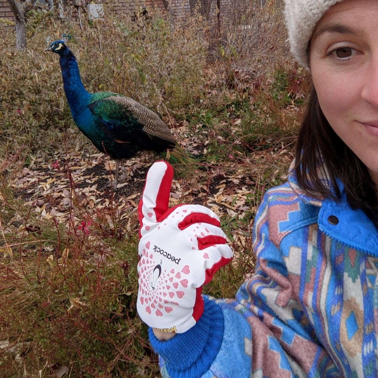 Lady with peacock Freezy Freakies gloves and a real actual peacock