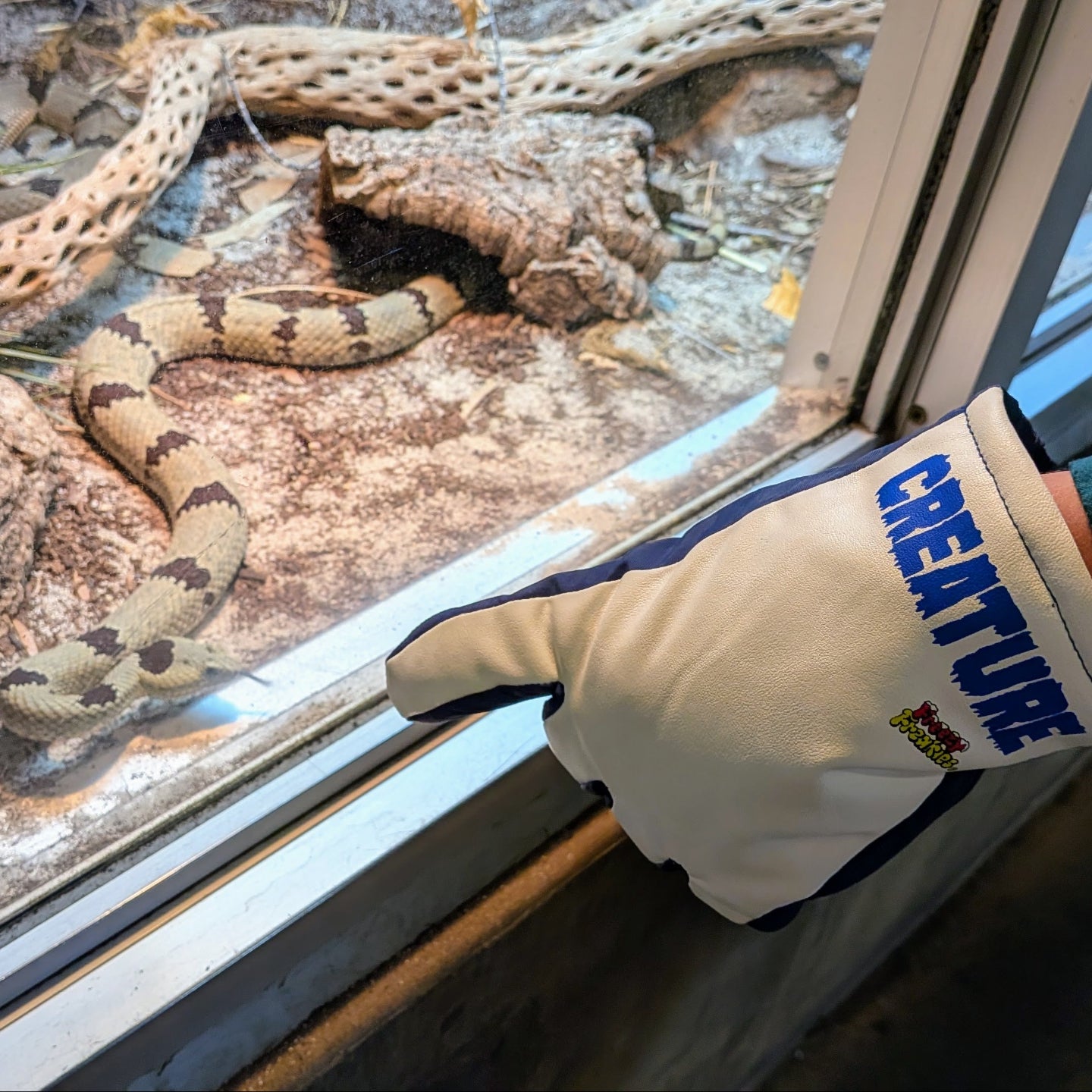 Creature Freezy Freakies lifestyle5