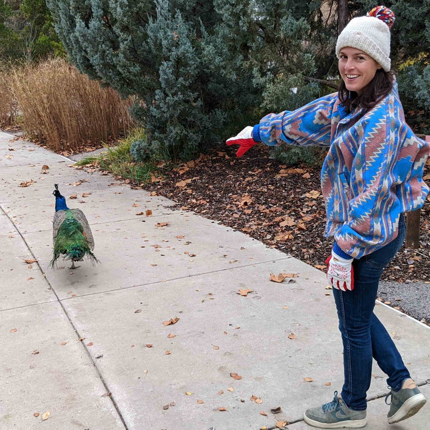 Lady in peacock Freezy Freakies gloves found an actual peacock