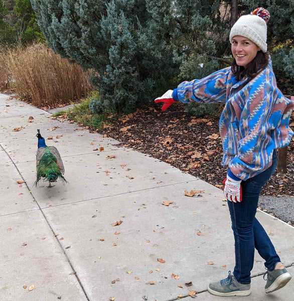 Lady in peacock Freezy Freakies gloves found an actual peacock